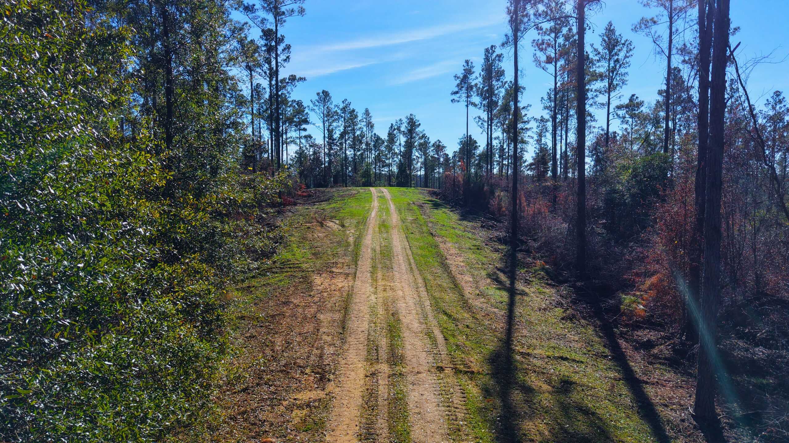 188 Acres for Sale in the Alabama River Bluff