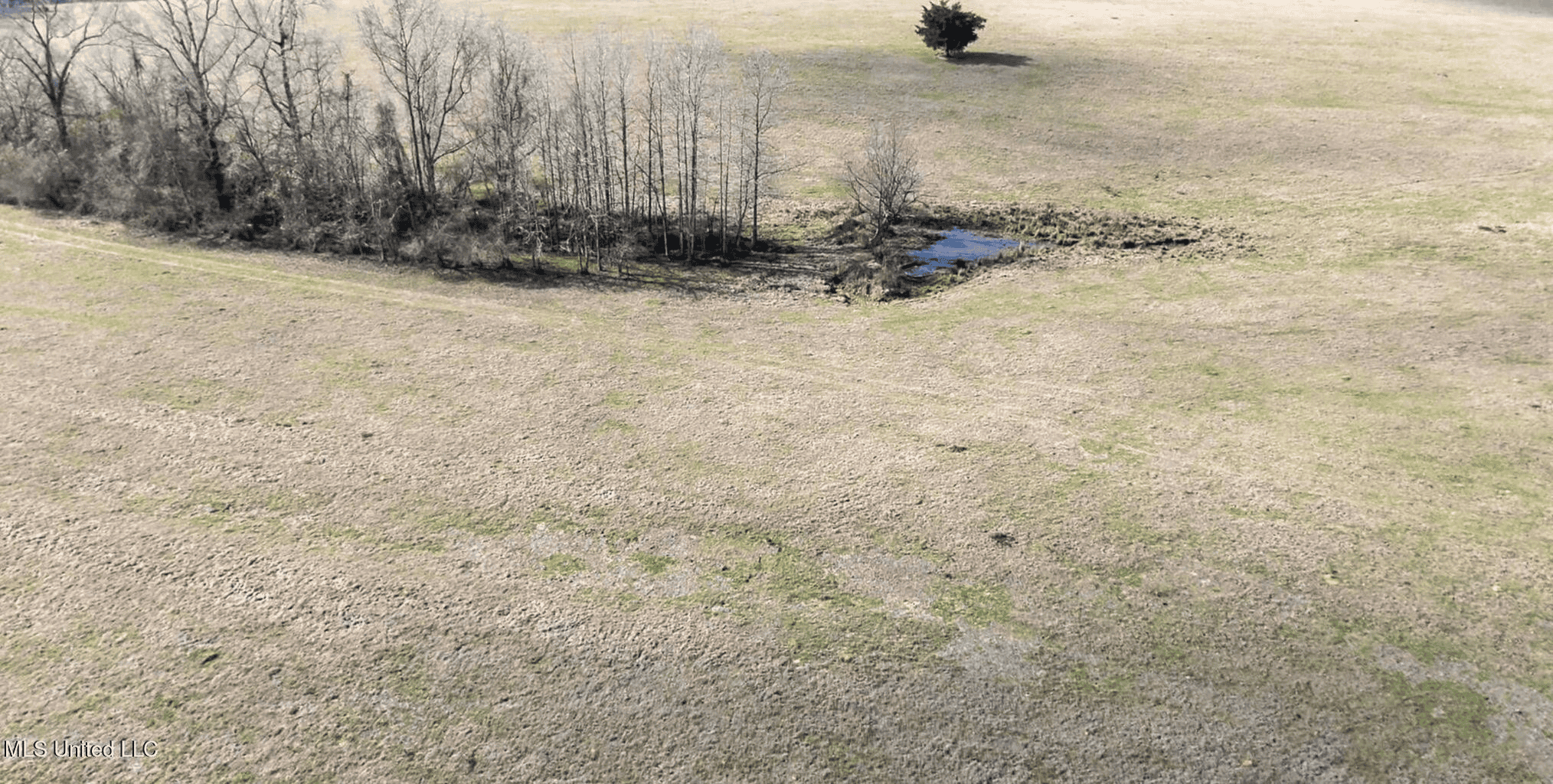 160 Acres in Lincoln County MS Near Brookhaven & I-55