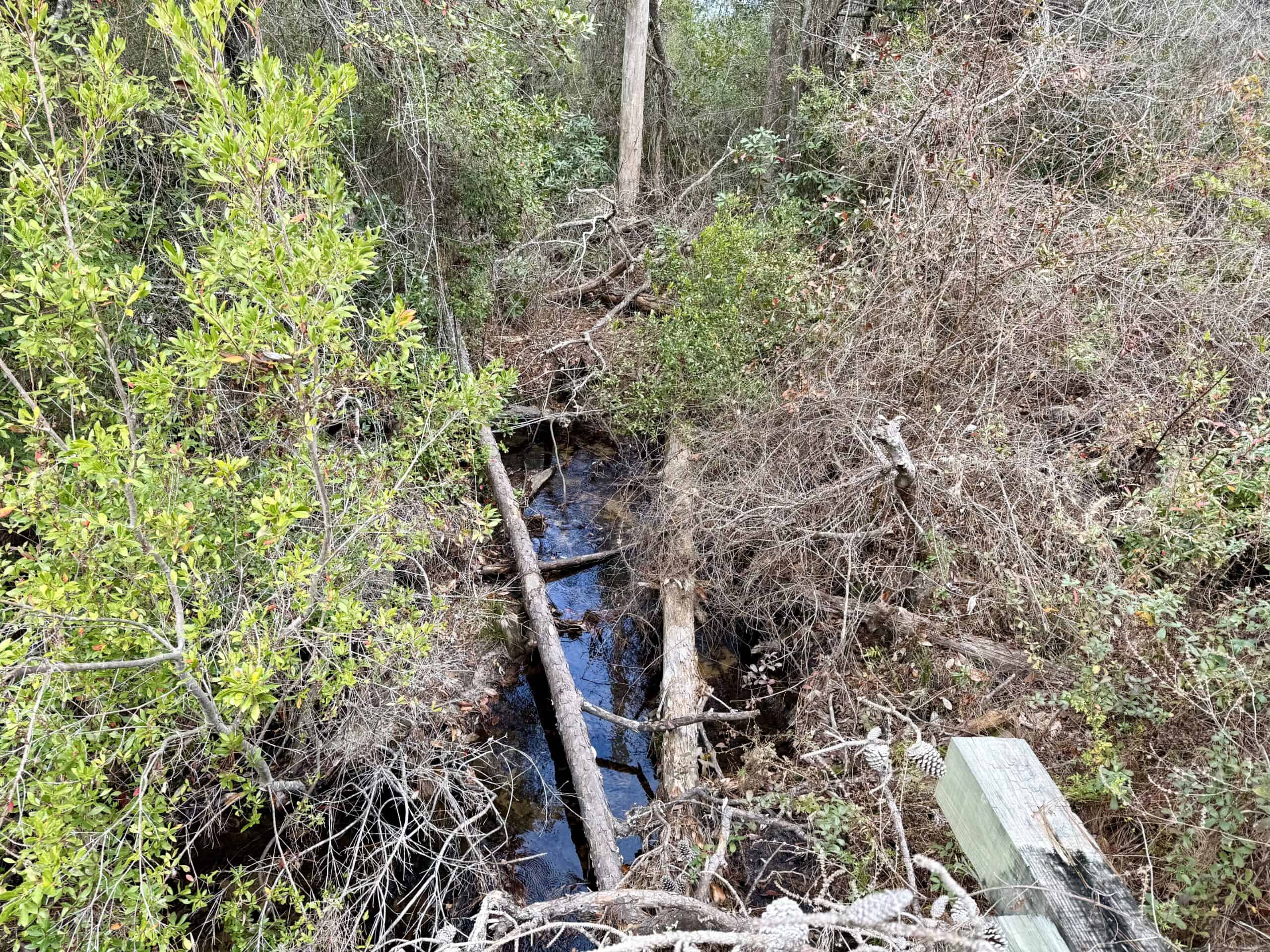 Rudd Sod Farm – 240 Acres in Alford, Florida – For Sale