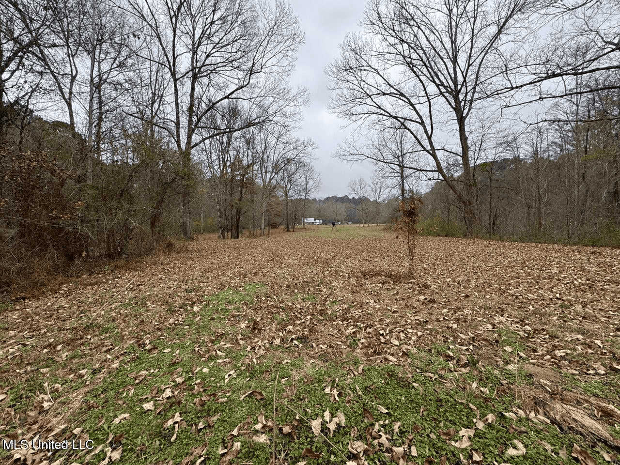 7035 Robertson Road Amite & Franklin County MS