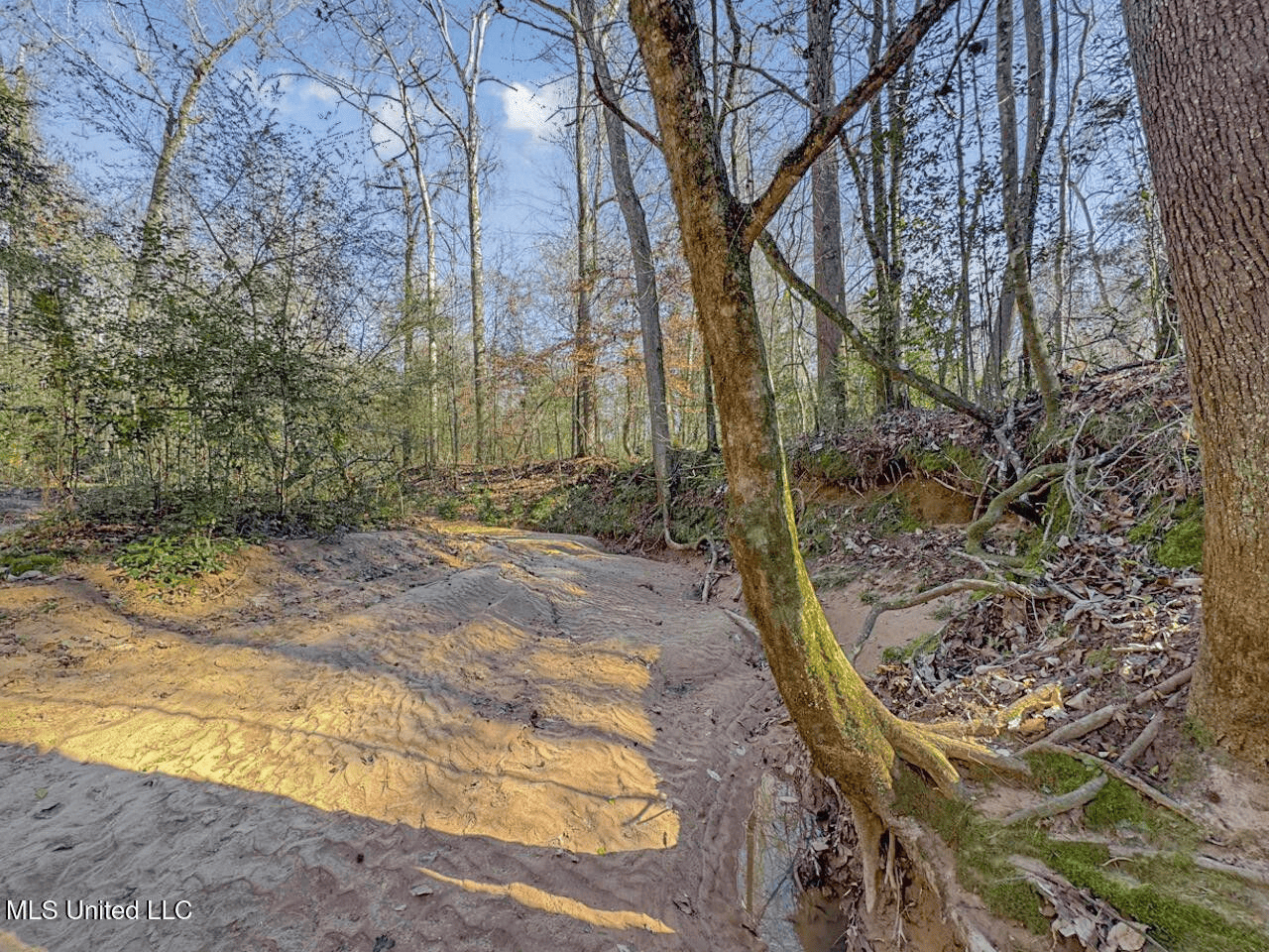13645 LA Hwy 10, St. Francisville, LA Home on 19± Acres