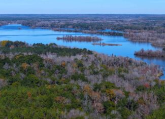 188 Acres for Sale in the Alabama River Bluff
