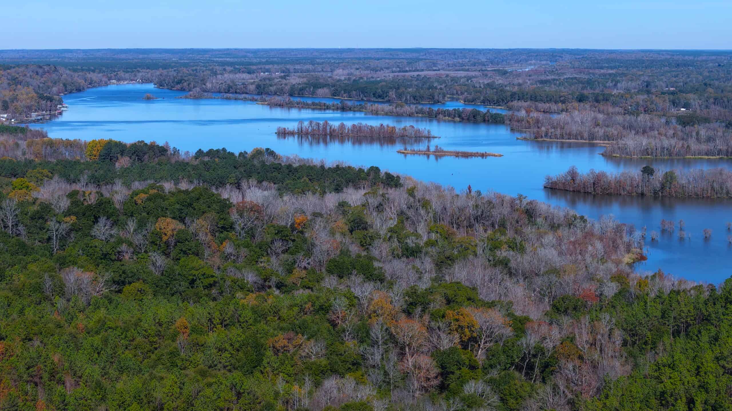 188 Acres for Sale in the Alabama River Bluff