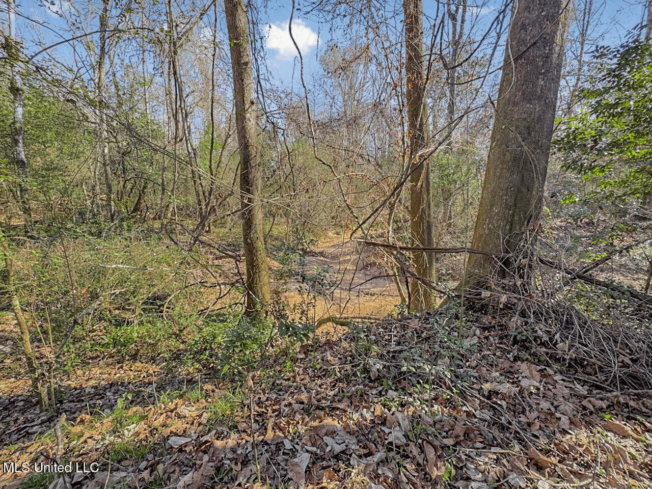 13645 LA Hwy 10, St. Francisville, LA Home on 19± Acres