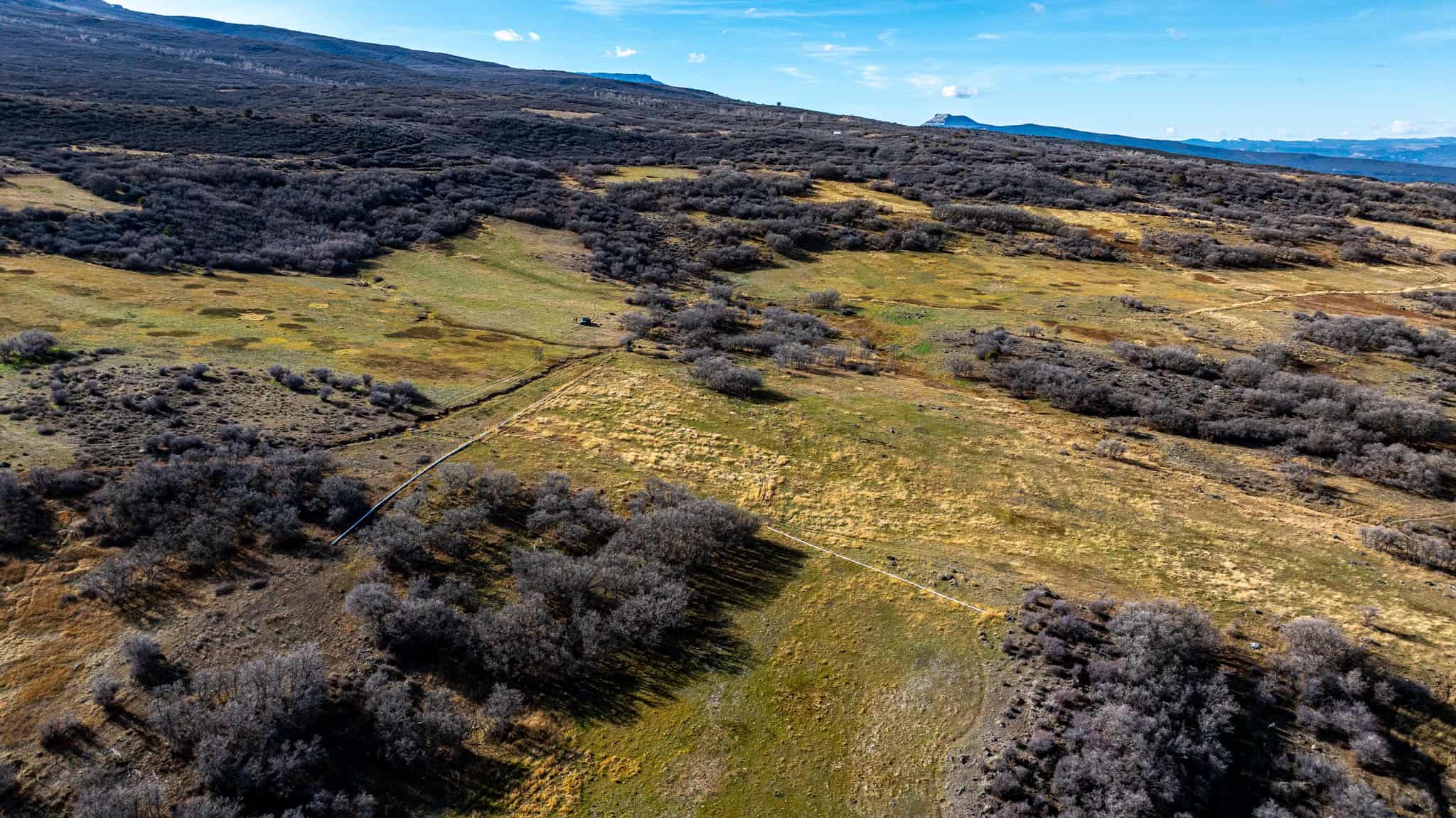 Bull Basin Meadows Ranch – Colorado Ranch in Collbran