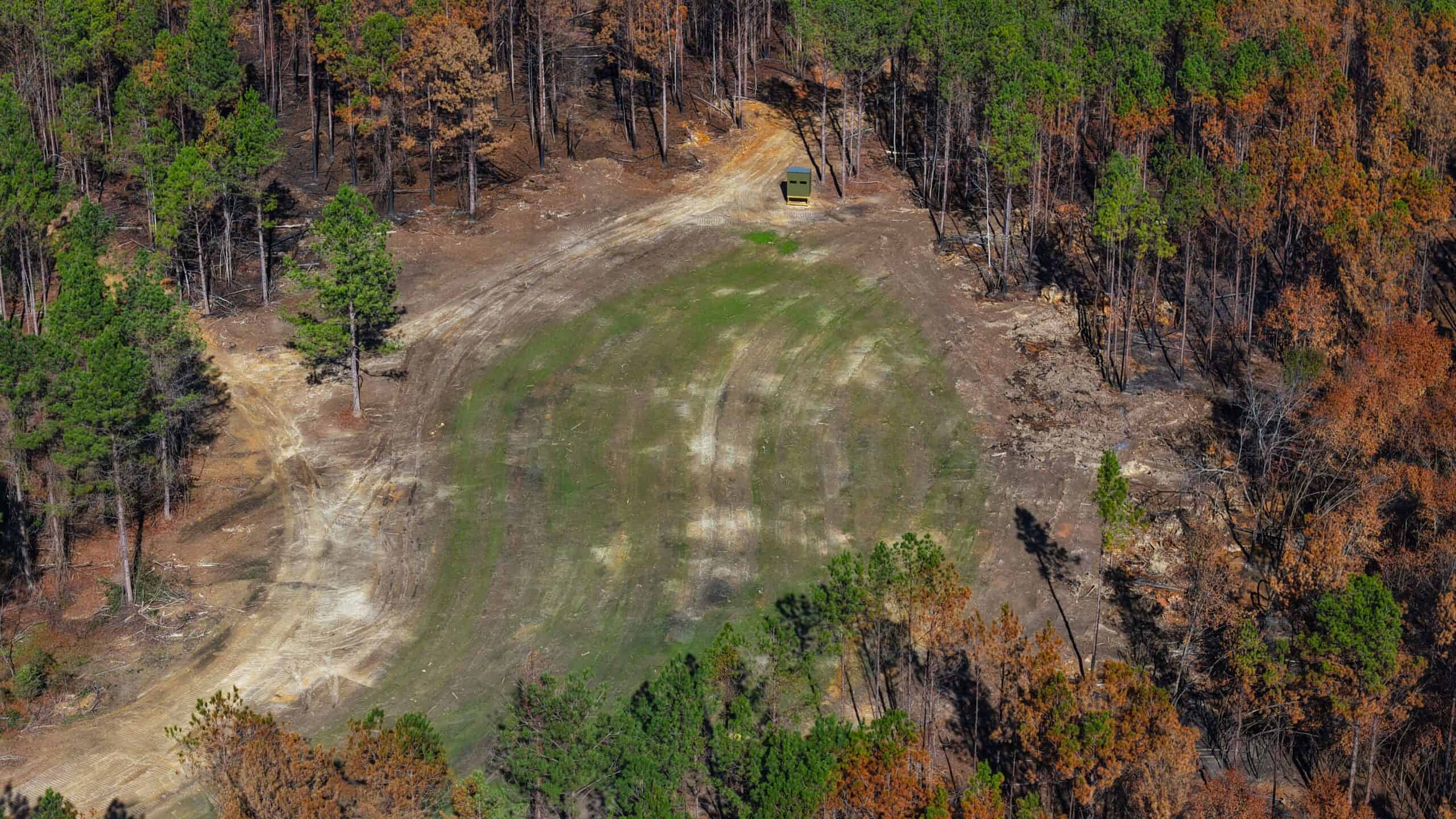 188 Acres for Sale in the Alabama River Bluff