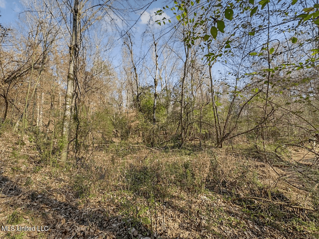 13645 LA Hwy 10, St. Francisville, LA Home on 19± Acres