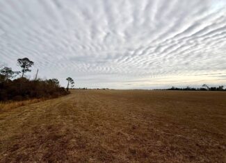 Rudd Sod Farm – 240 Acres in Alford, Florida – For Sale