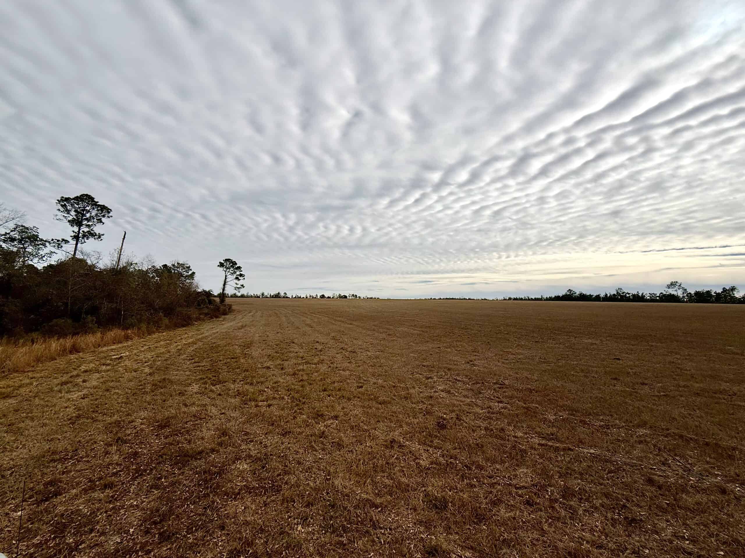 Rudd Sod Farm – 240 Acres in Alford, Florida – For Sale