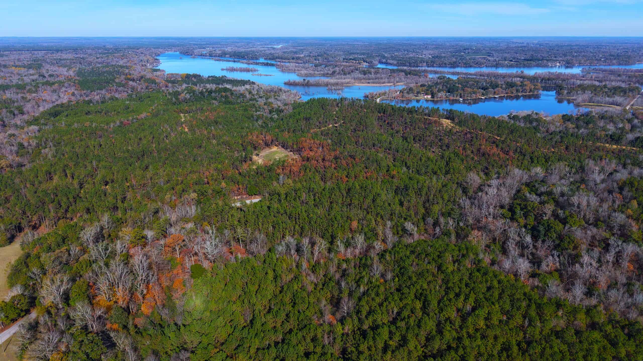 188 Acres for Sale in the Alabama River Bluff