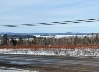 Home on 40+ Acres Overlooking Meddybemps Lake