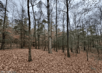 Prime Hunting/Recreation Tract near Homochitto Nat’l Forest