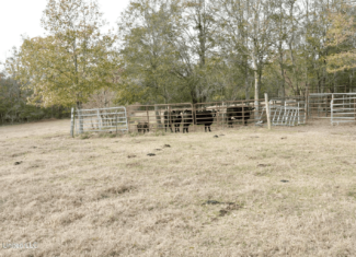 160 Acres in Lincoln County MS Near Brookhaven & I-55