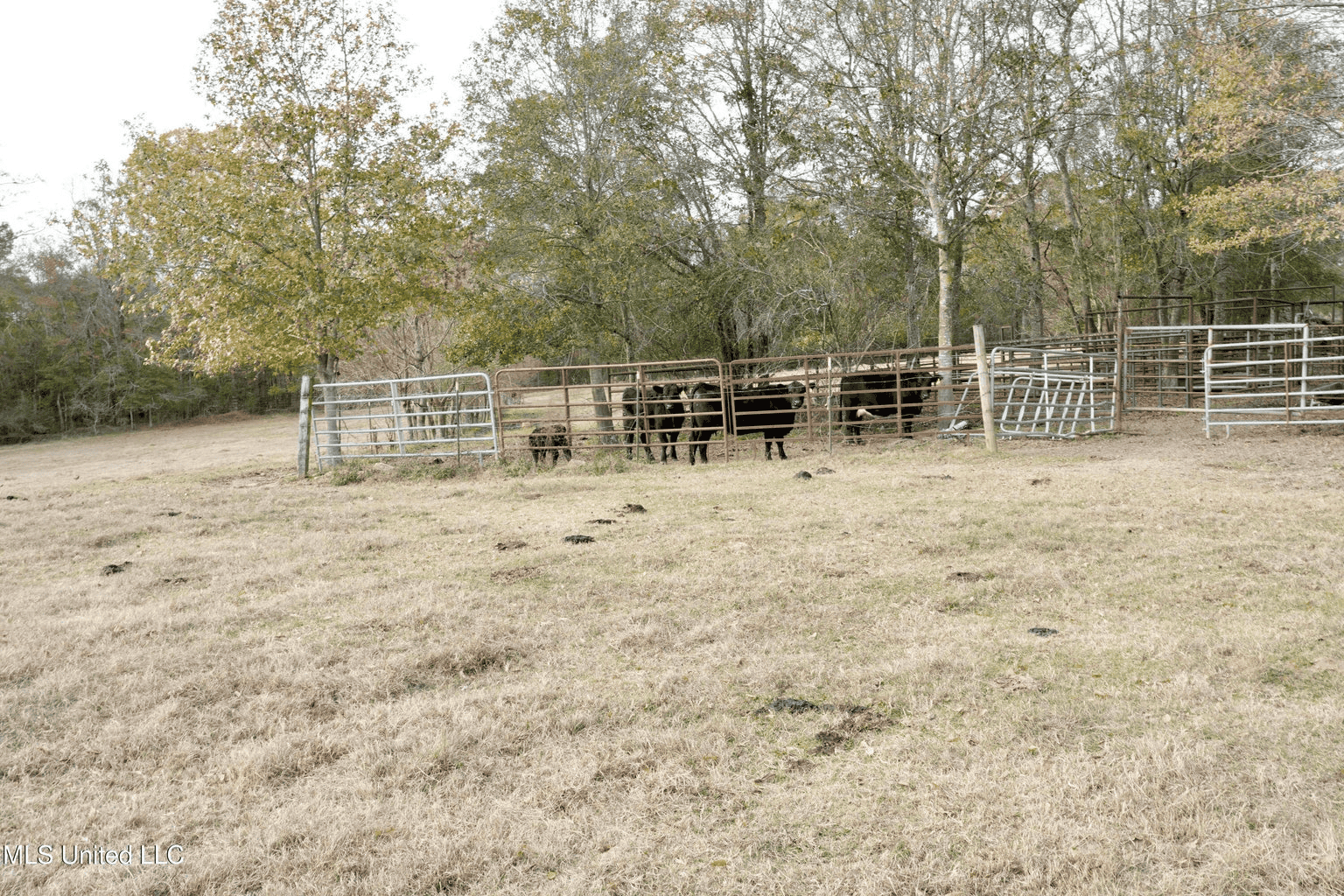 160 Acres in Lincoln County MS Near Brookhaven & I-55