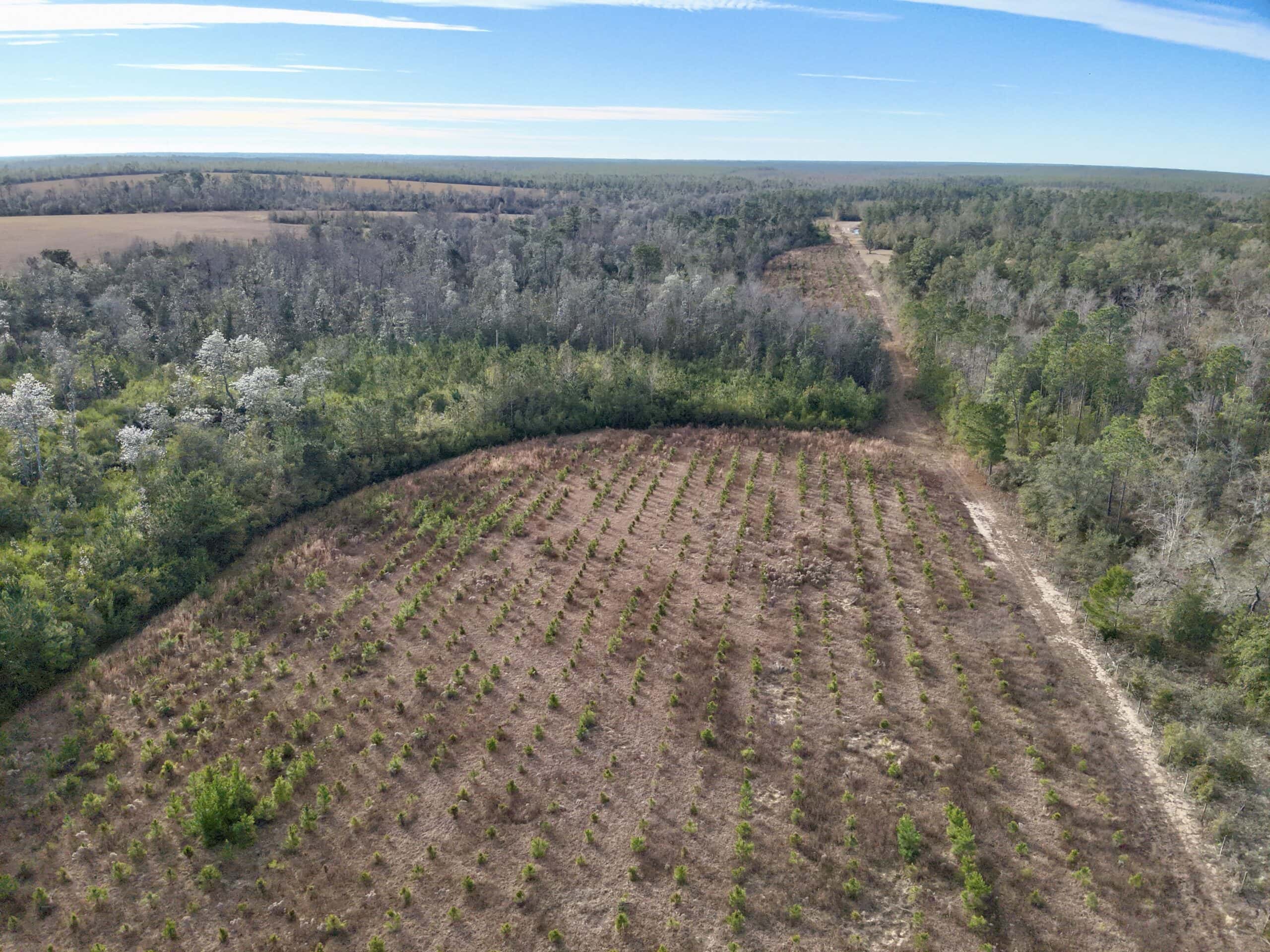 Rudd Sod Farm – 240 Acres in Alford, Florida – For Sale