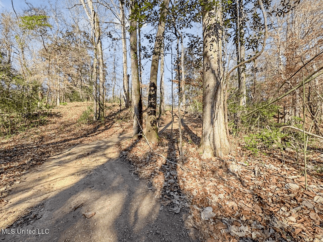 13645 LA Hwy 10, St. Francisville, LA Home on 19± Acres