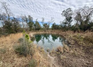 Rudd Sod Farm – 240 Acres in Alford, Florida – For Sale