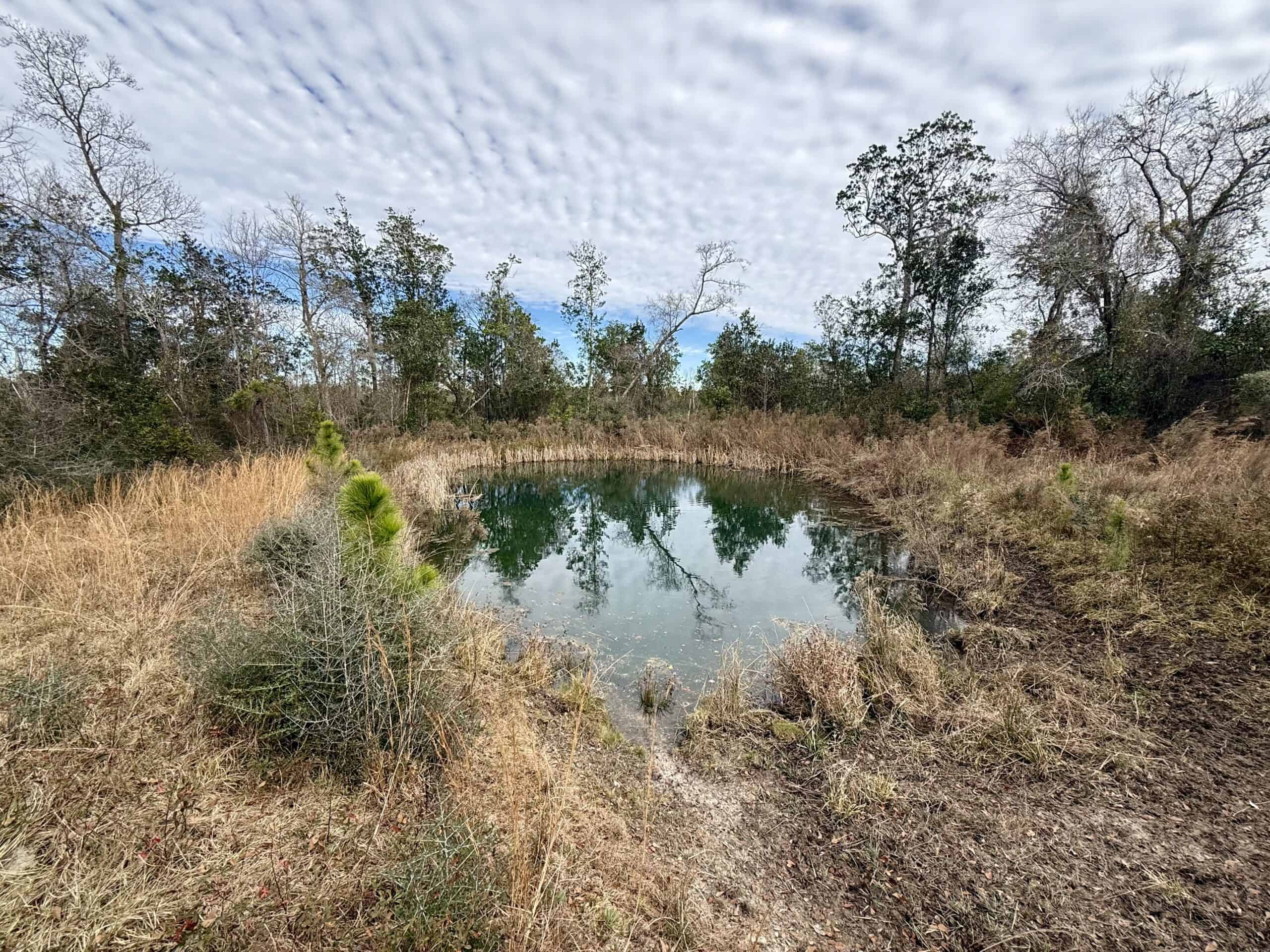 Rudd Sod Farm – 240 Acres in Alford, Florida – For Sale