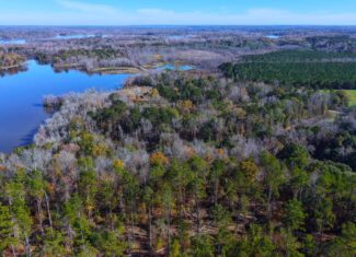 188 Acres for Sale in the Alabama River Bluff