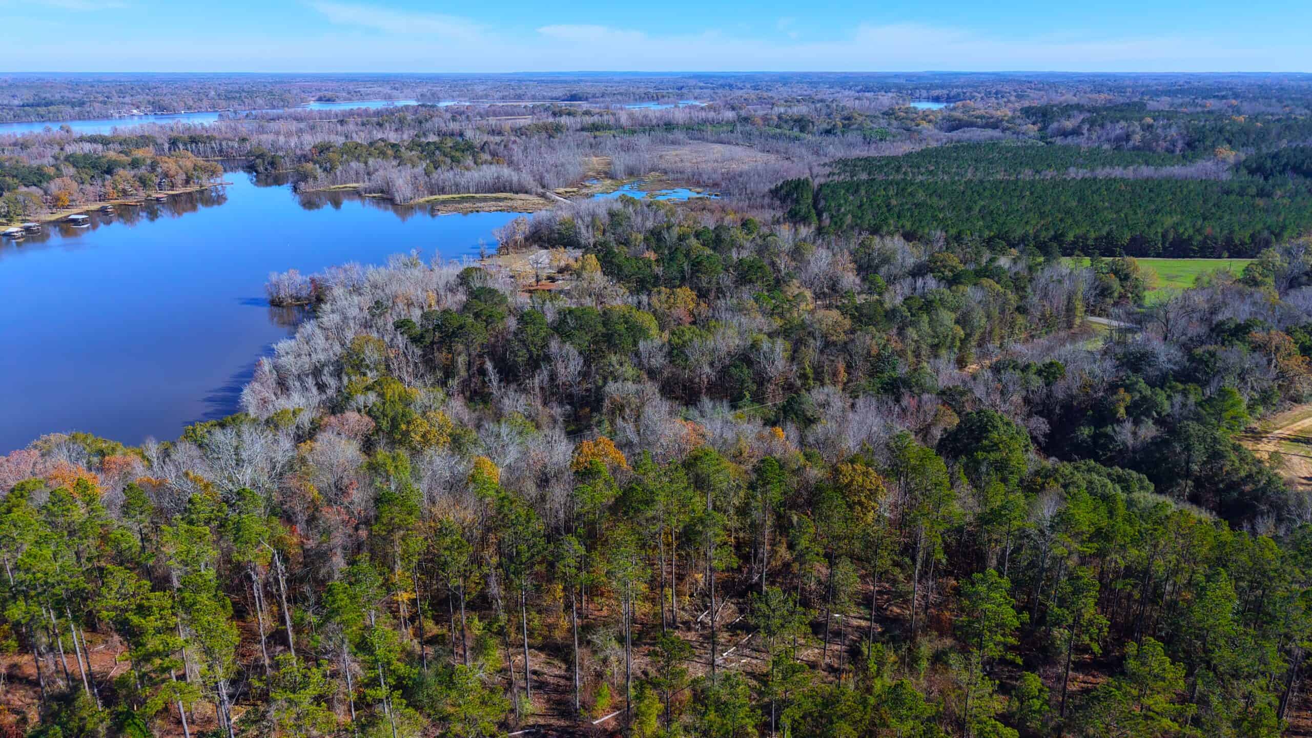 188 Acres for Sale in the Alabama River Bluff