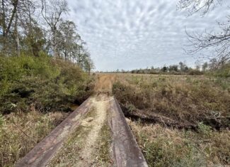Rudd Sod Farm – 240 Acres in Alford, Florida – For Sale