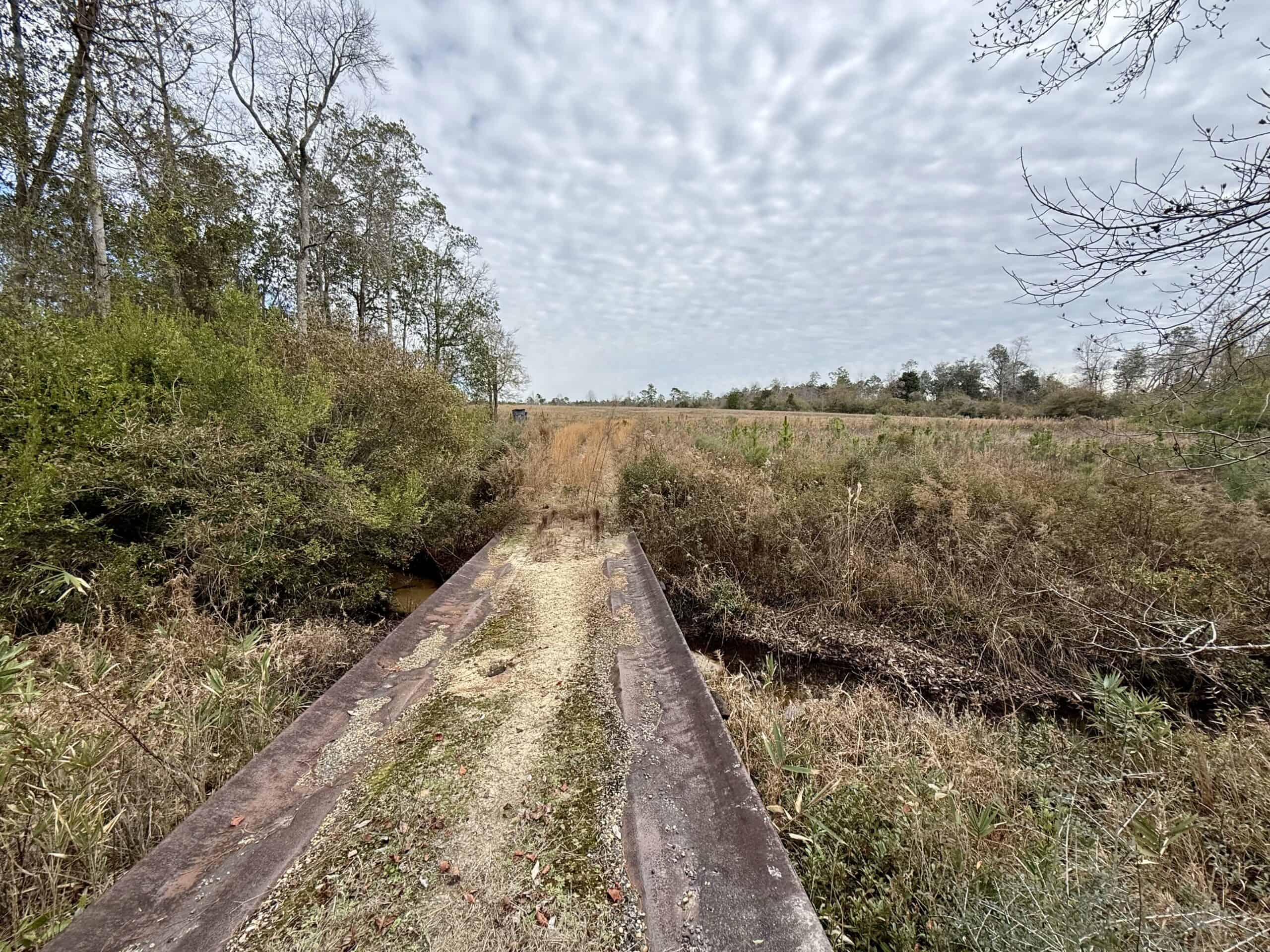 Rudd Sod Farm – 240 Acres in Alford, Florida – For Sale