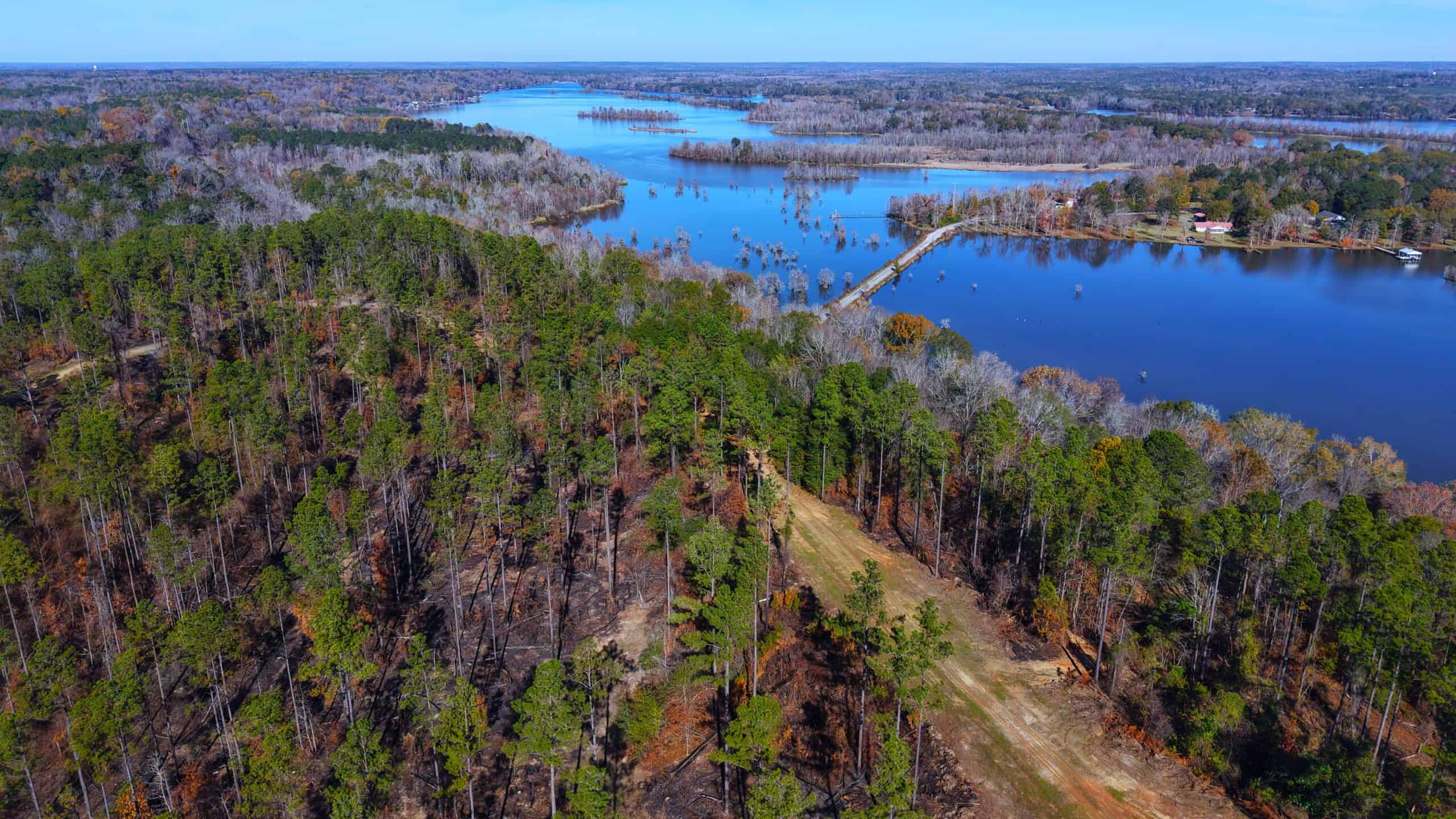 188 Acres for Sale in the Alabama River Bluff