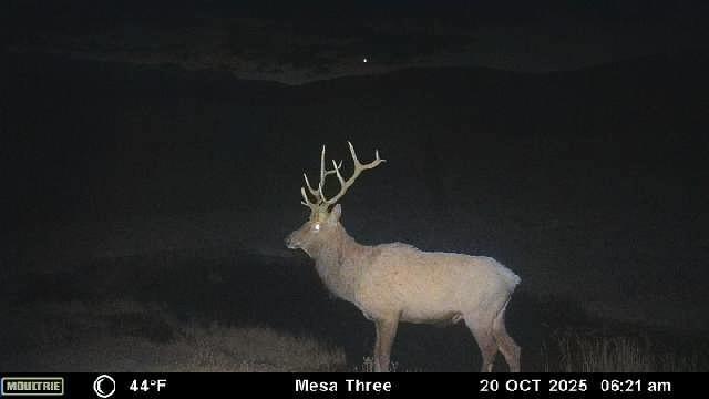 Bull Basin Meadows Ranch – Colorado Ranch in Collbran