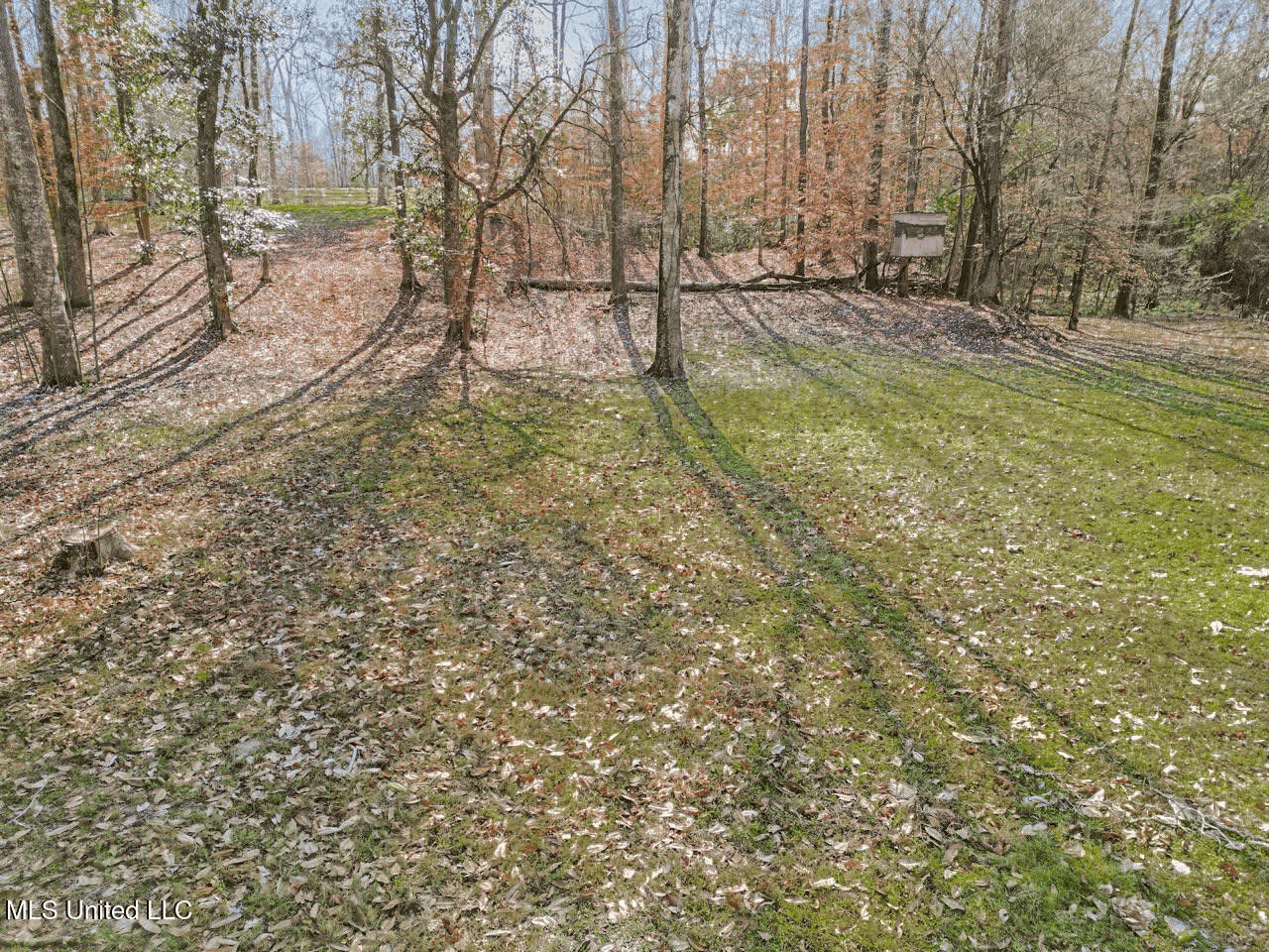 13645 LA Hwy 10, St. Francisville, LA Home on 19± Acres