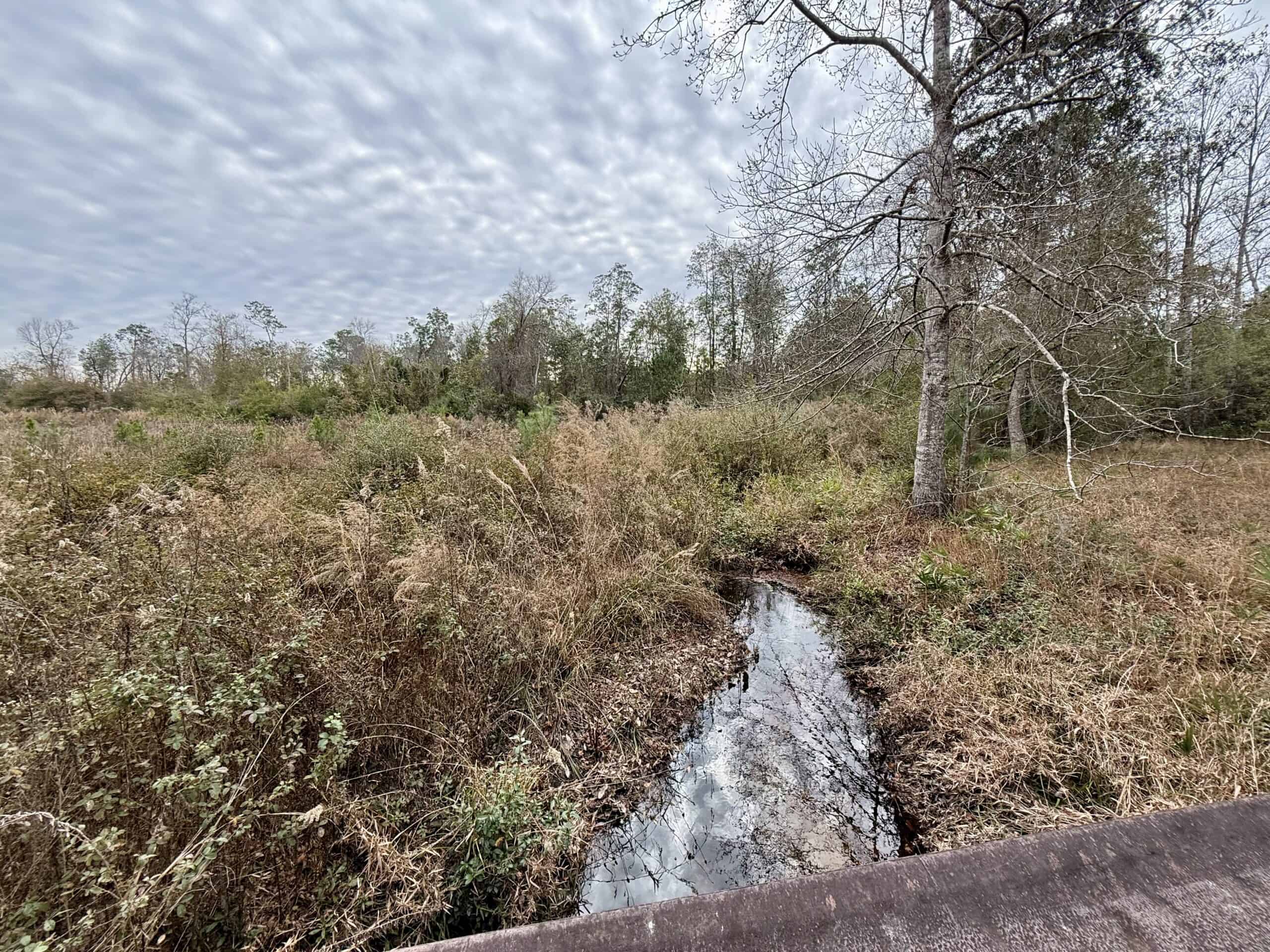 Rudd Sod Farm – 240 Acres in Alford, Florida – For Sale