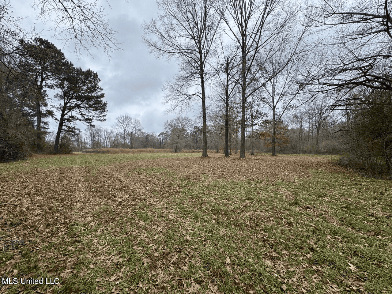 7035 Robertson Road Amite & Franklin County MS