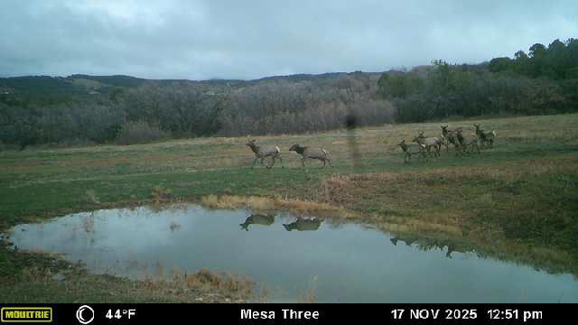 Bull Basin Meadows Ranch – Colorado Ranch in Collbran