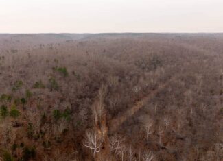 000 County Road 19-A, Alton, Missouri