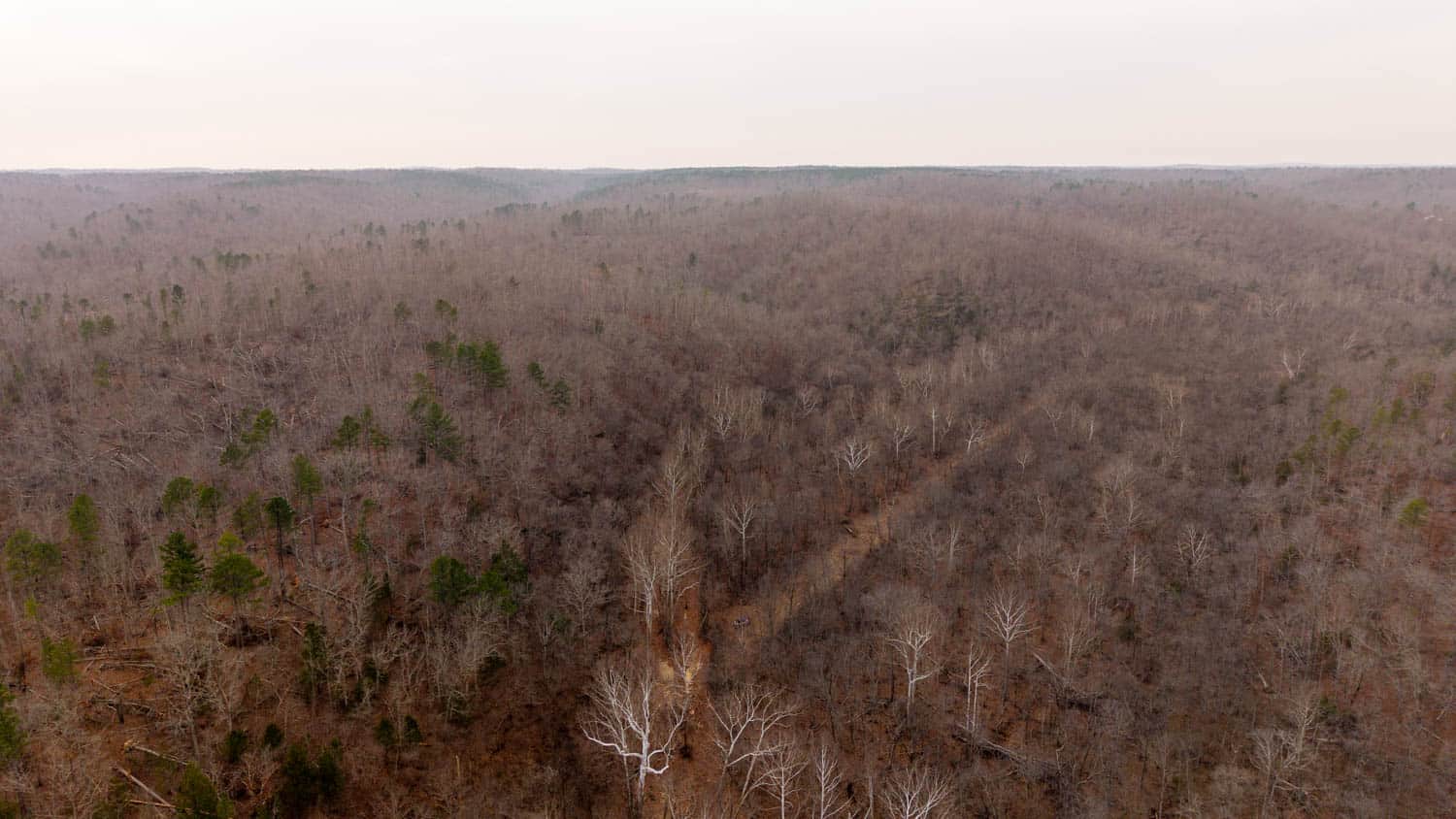 000 County Road 19-A, Alton, Missouri