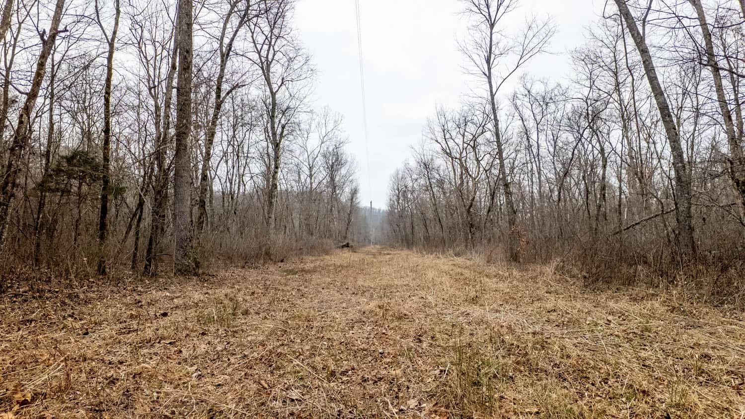 000 County Road 19-A, Alton, Missouri