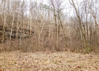 000 County Road 19-A, Alton, Missouri