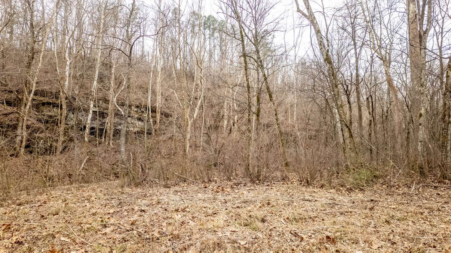 000 County Road 19-A, Alton, Missouri