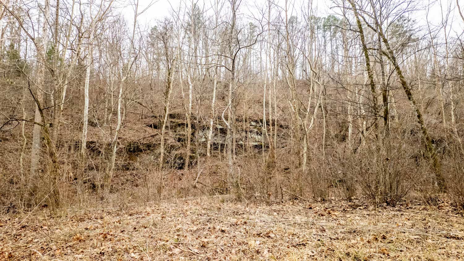 000 County Road 19-A, Alton, Missouri