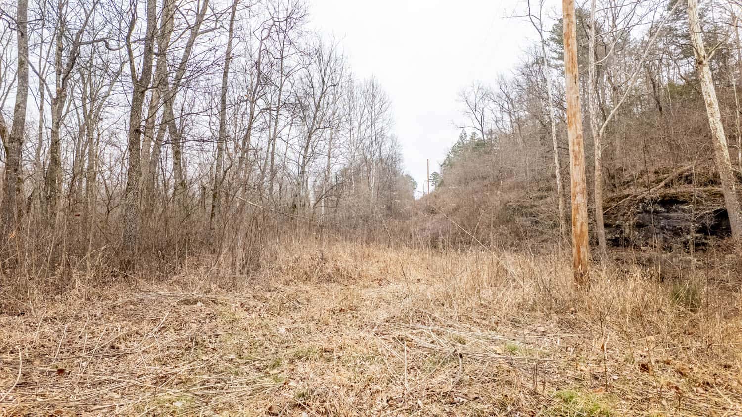 000 County Road 19-A, Alton, Missouri