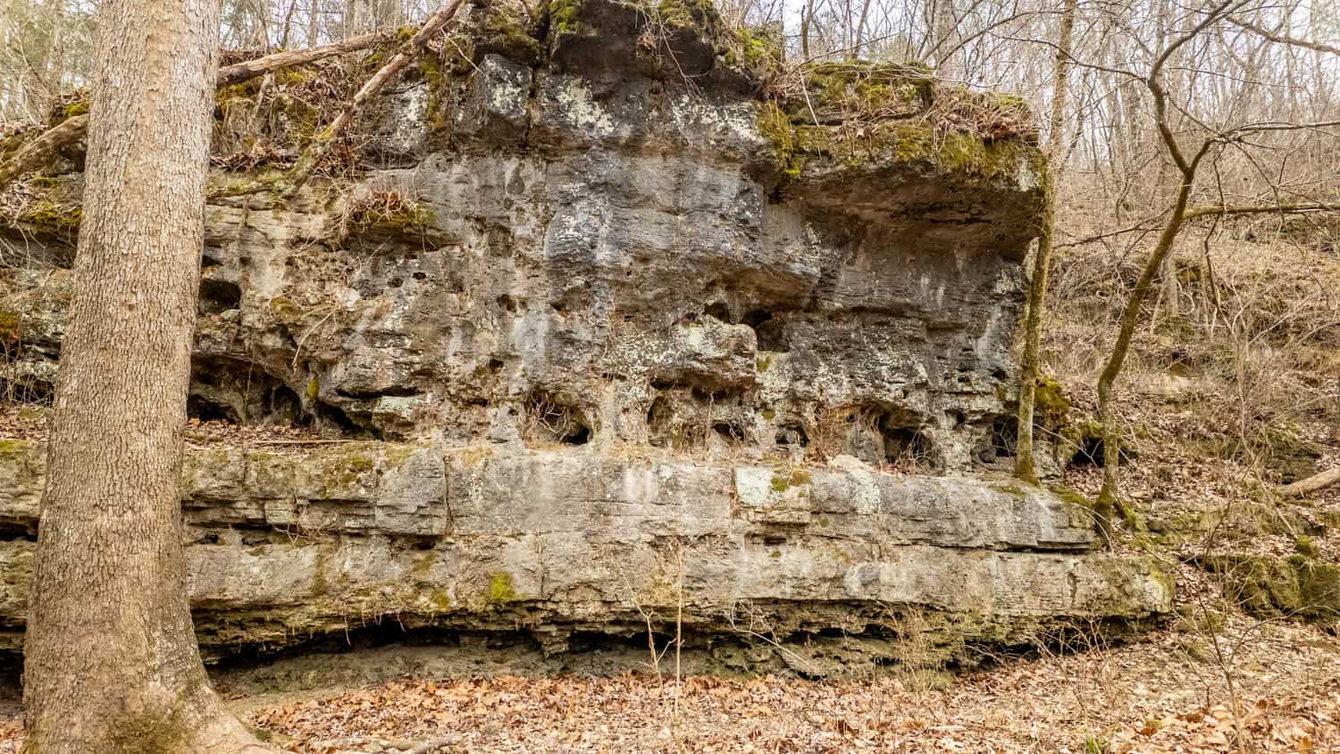 000 County Road 19-A, Alton, Missouri