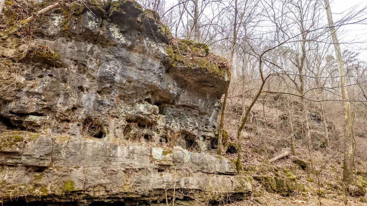 000 County Road 19-A, Alton, Missouri
