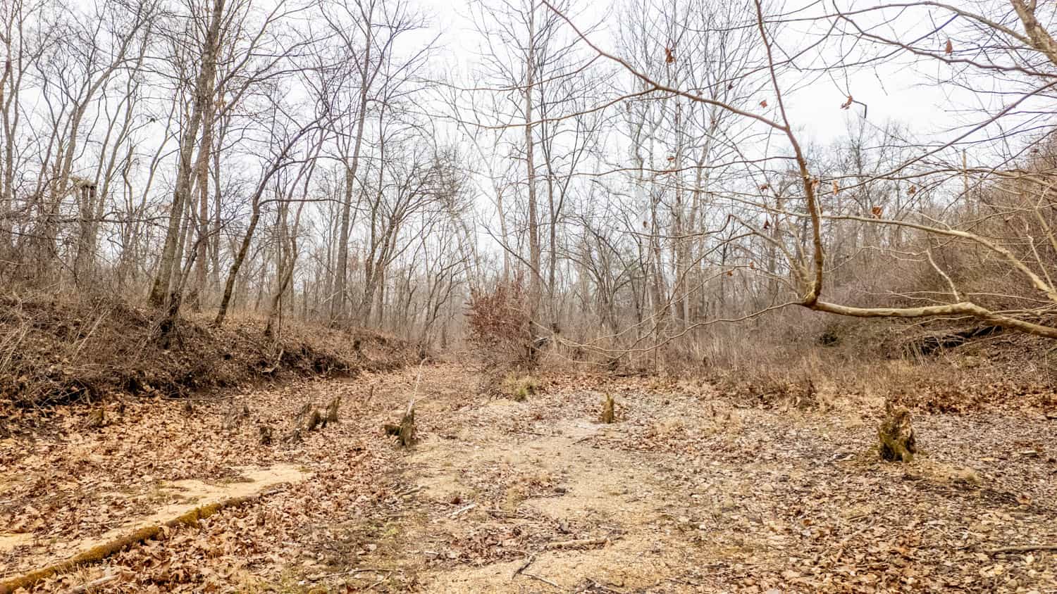 000 County Road 19-A, Alton, Missouri