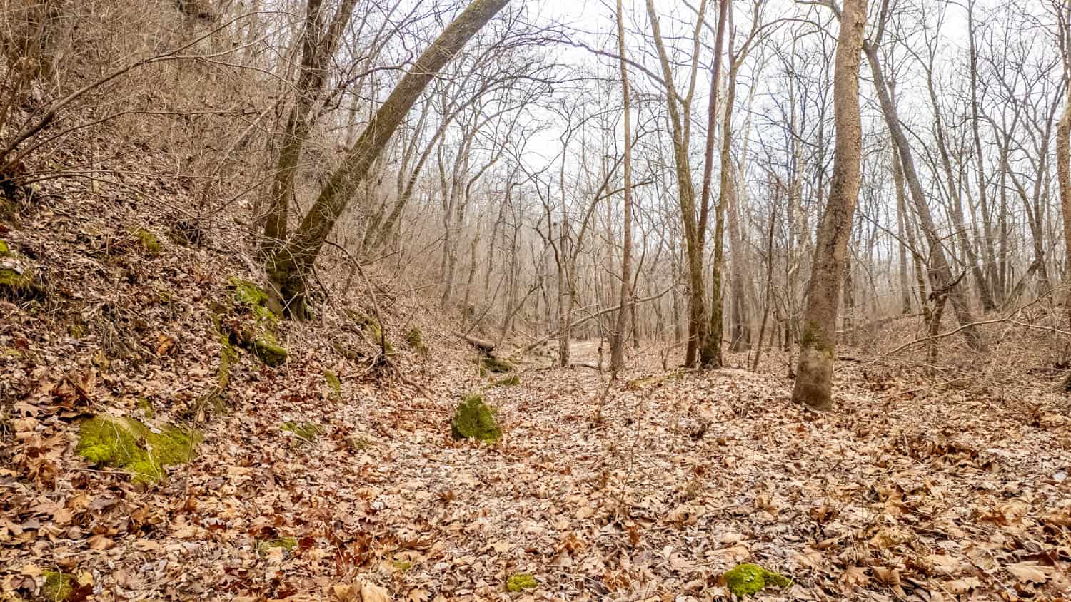 000 County Road 19-A, Alton, Missouri