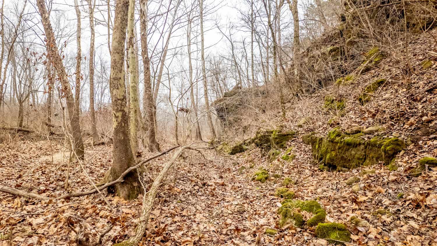 000 County Road 19-A, Alton, Missouri
