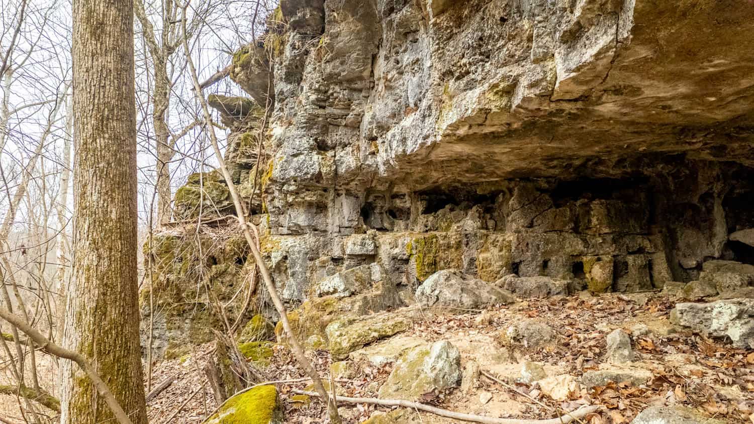 000 County Road 19-A, Alton, Missouri
