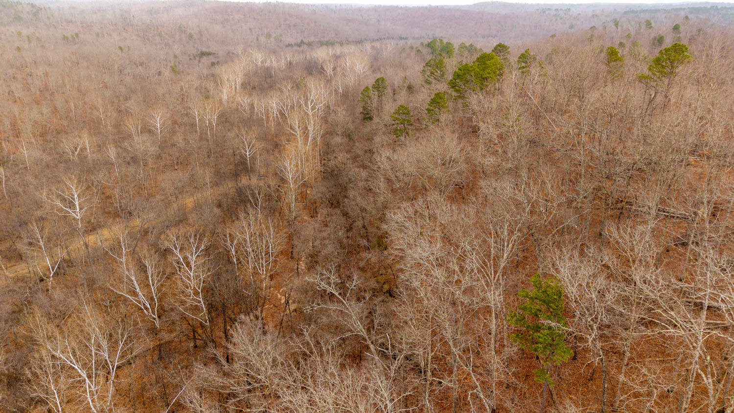 000 County Road 19-A, Alton, Missouri