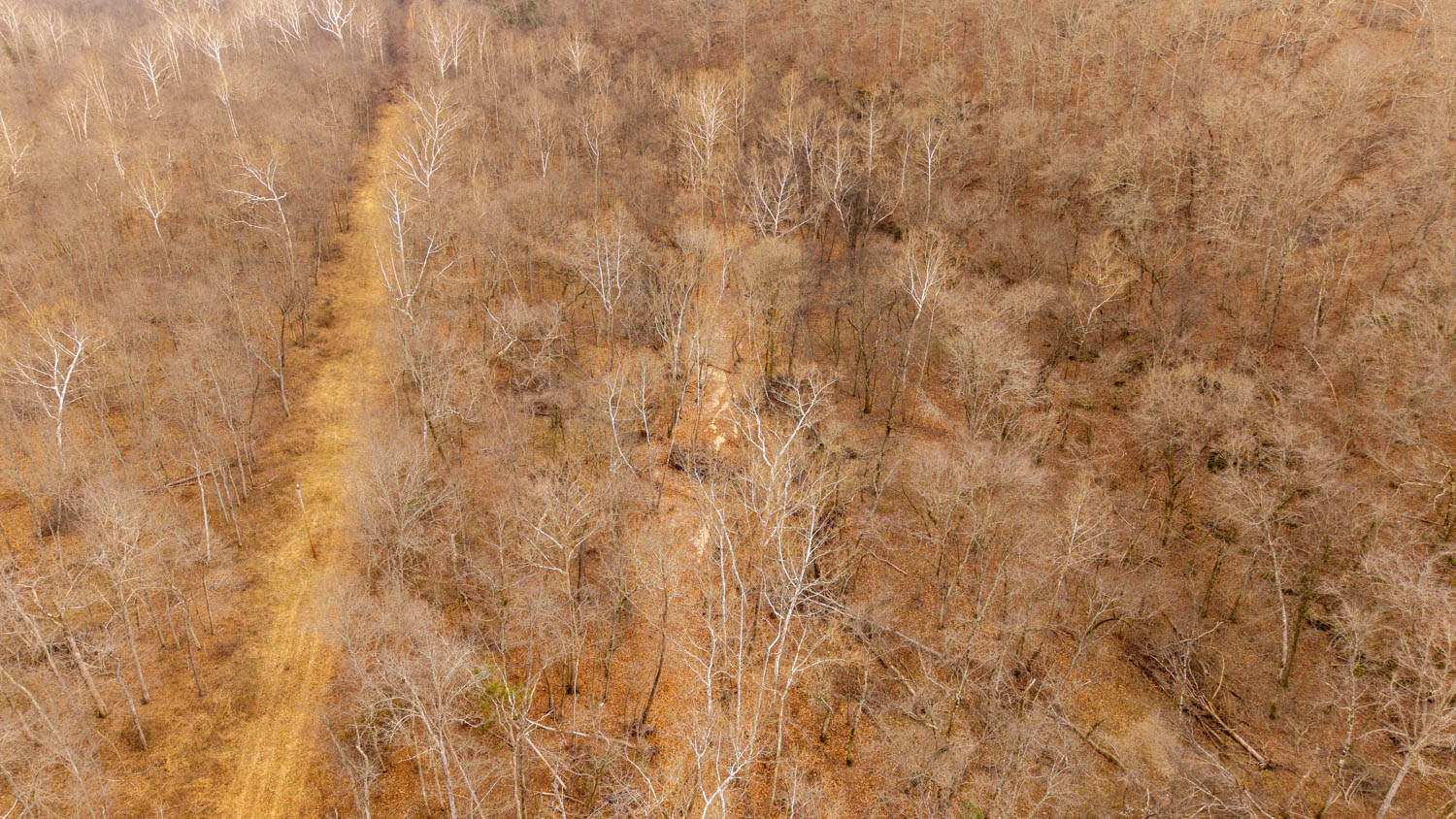 000 County Road 19-A, Alton, Missouri