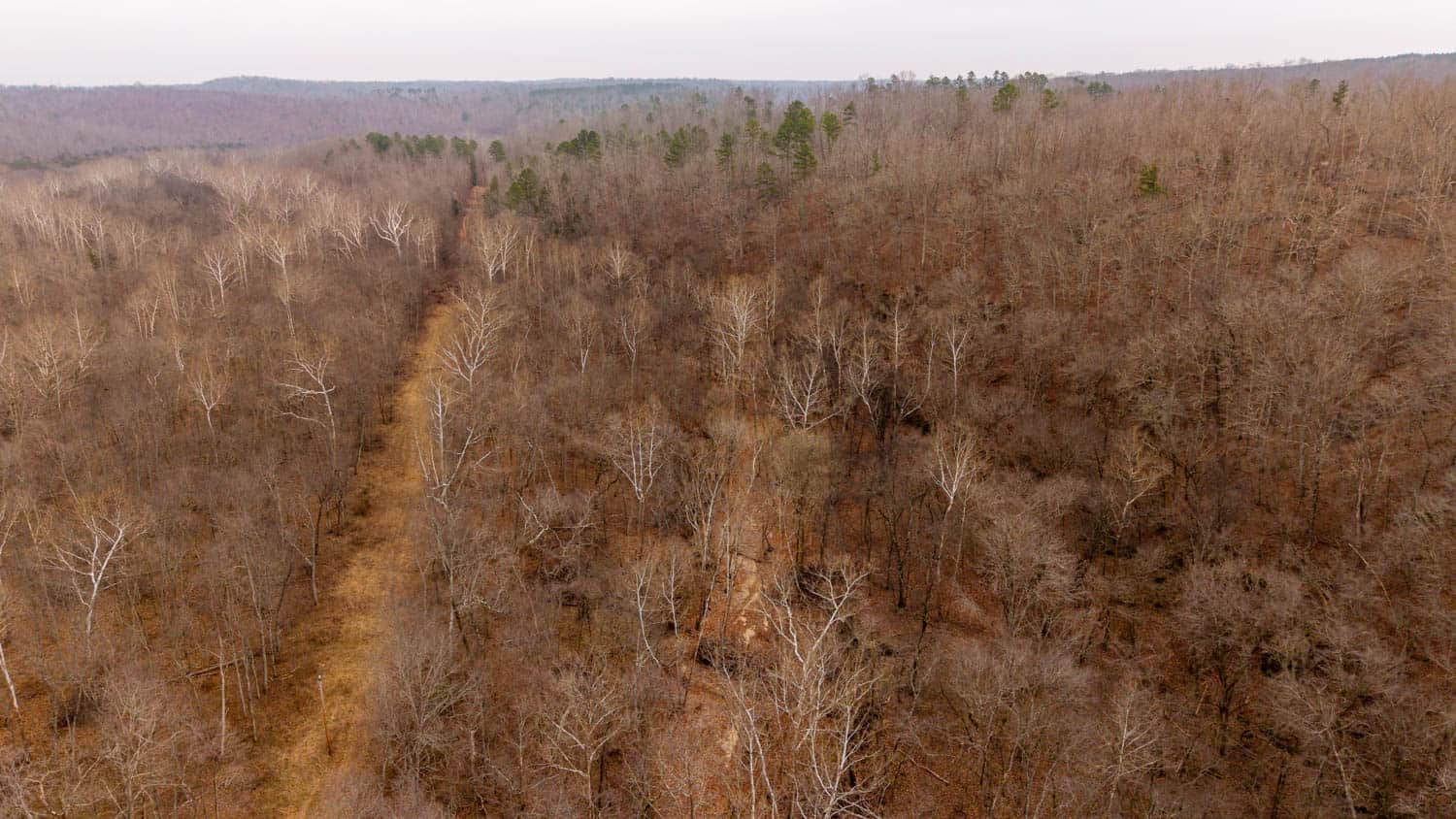 000 County Road 19-A, Alton, Missouri