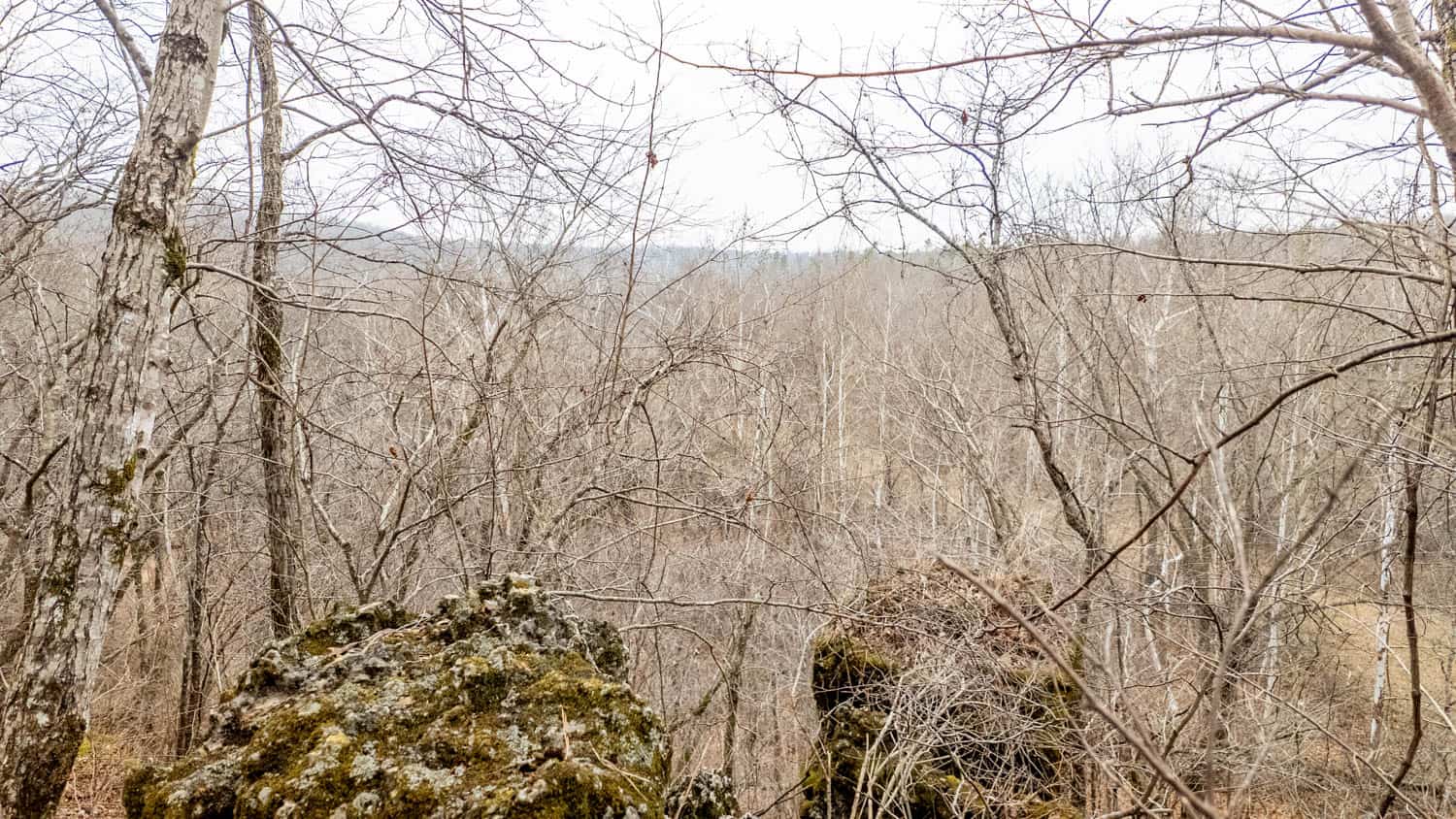 000 County Road 19-A, Alton, Missouri