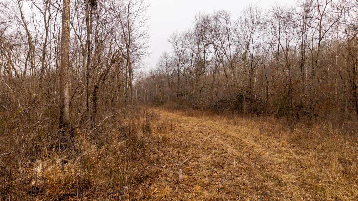 000 County Road 19-A, Alton, Missouri